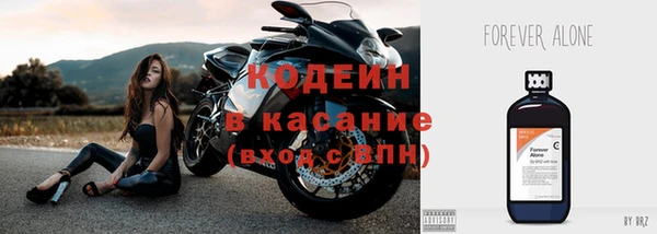 индика Сосновка