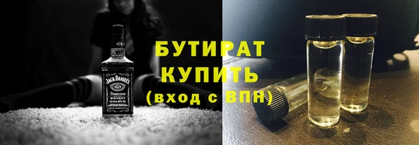 индика Сосновка