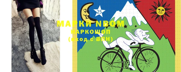 индика Сосновка