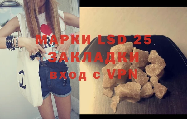 индика Сосновка
