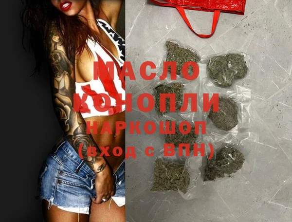 индика Сосновка