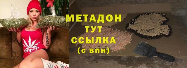 индика Сосновка