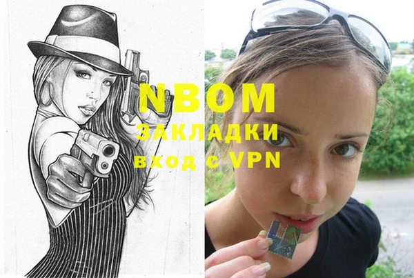 индика Сосновка